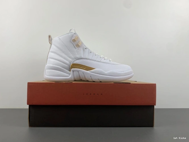 Jordan Air WMNS 12 Trendy FD9101- 654 Phantom 1227